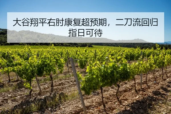 大谷翔平右肘康复超预期，二刀流回归指日可待