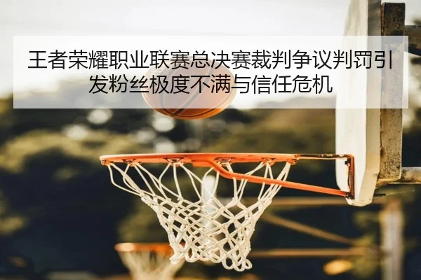wang-zhe-rong-yao-zhi-ye-lian-sai-zong-jue-sai-cai-pan-zheng-yi-pan-fa-yin-fa-fen-si-ji-du-bu-man-yu-xin-ren-wei-ji-3-660.jpg